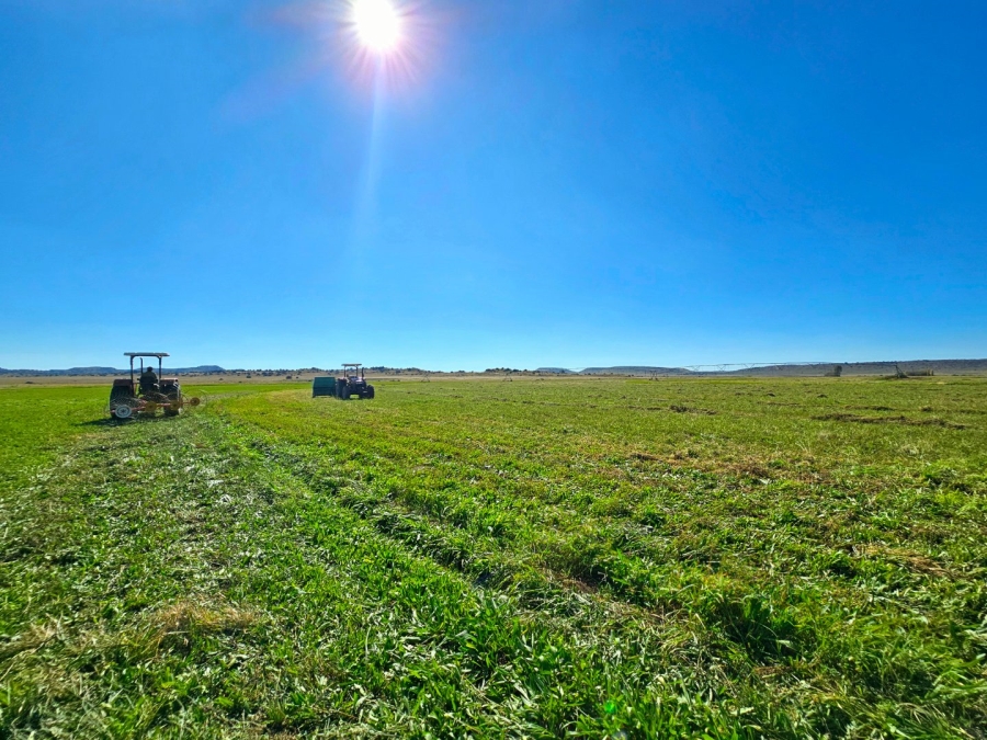 4 Bedroom Property for Sale in Bloemfontein Rural Free State